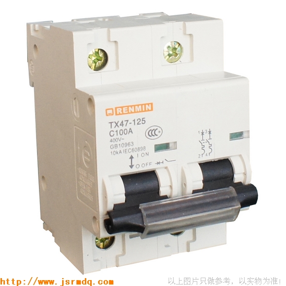 小型断路器DZ47-100/2P(TX47)